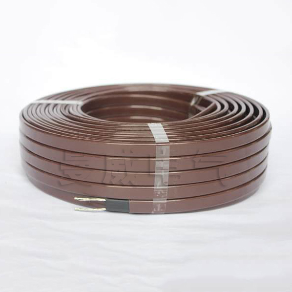 16605334825628.jpg SBR型電伴熱帶.jpg