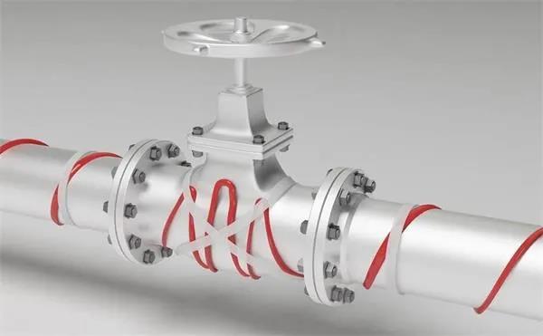 16687379719999.jpg 電伴熱帶.jpg