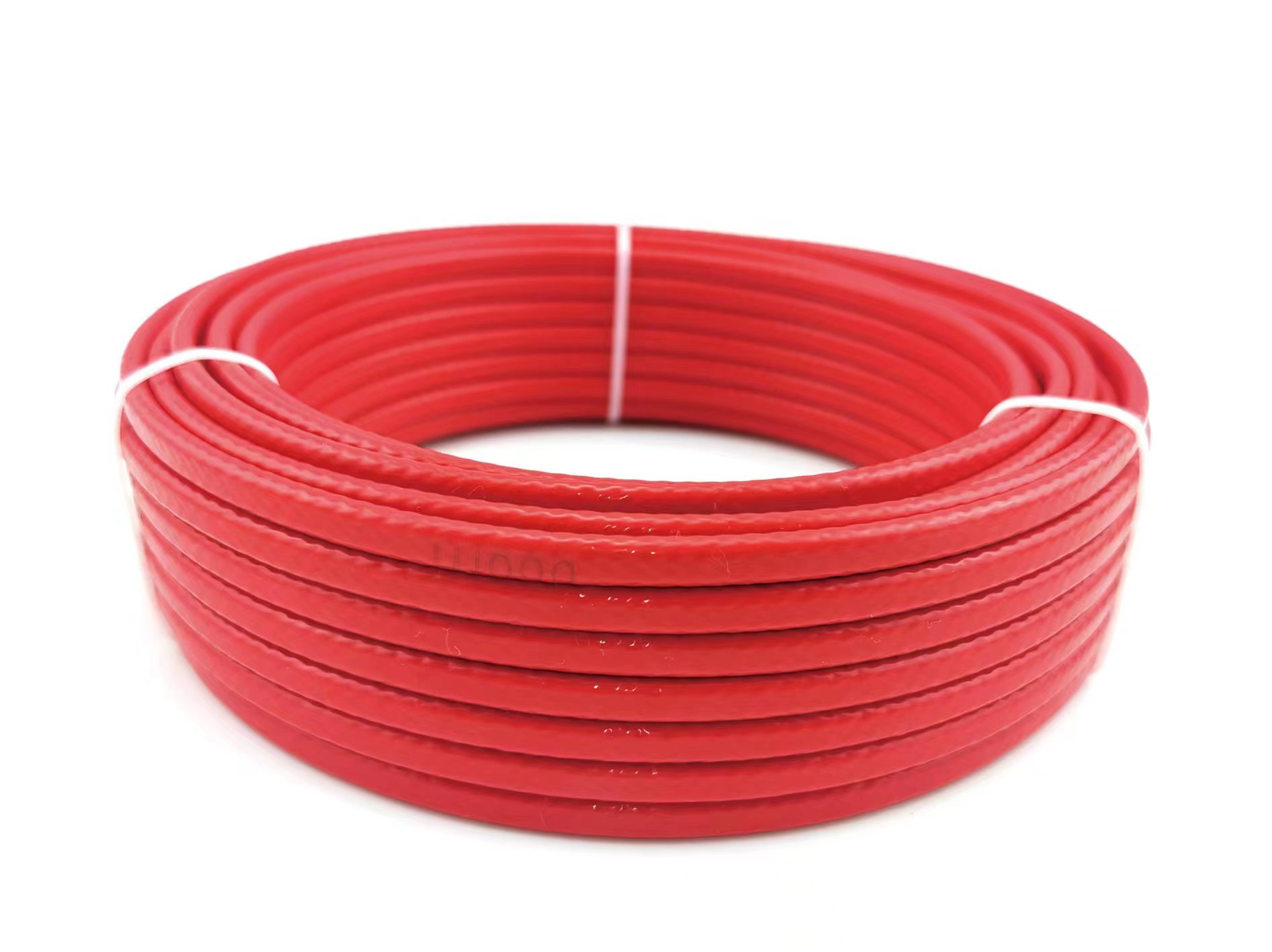 16824757547963.jpg 伴熱帶.jpg