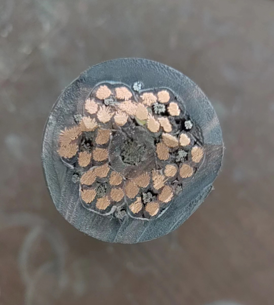 16938767175380.jpg 2.jpg